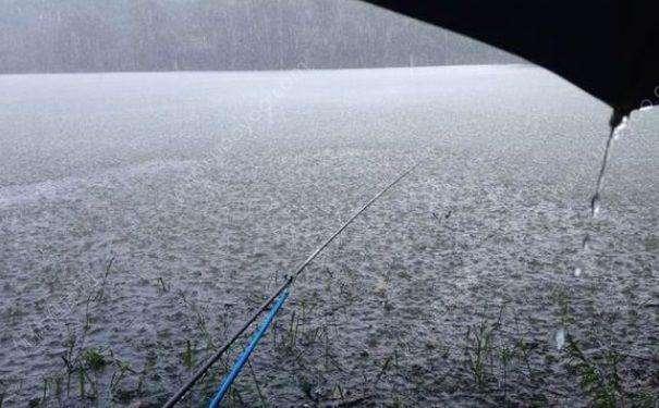 吴说钓鱼：不同环境如何钓鱼（上）——晴天、阴天和雨天钓鱼技巧