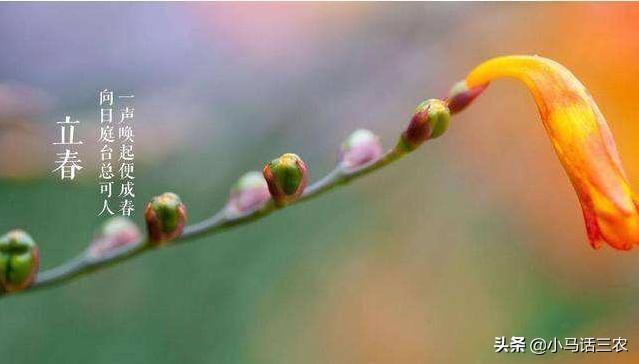 明天是立春节气，立春节气是晴天好还是雨天好？听听老农怎么说