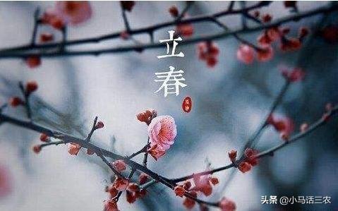 明天是立春节气，立春节气是晴天好还是雨天好？听听老农怎么说