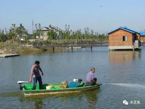 水产养殖在日常管理中养殖户最容易忽视的浮头和泛池的六个原因