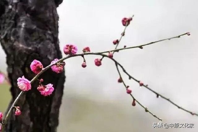 俗语“立春是晴天，不用问神仙”，到底是什么意思