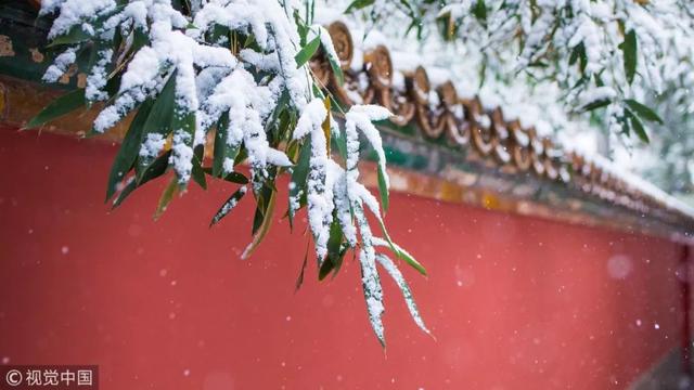 二十四节气科普知识手册之小雪