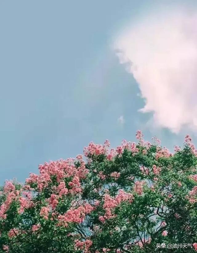 天气预报看了这么多年,“多云”你懂吗?