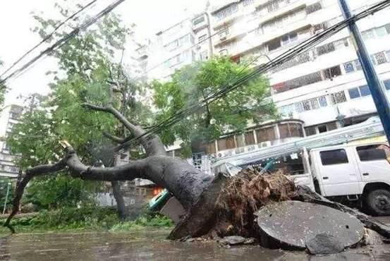 大风、雷雨、冰雹……河北强对流天气轮番上演,该如何防范?