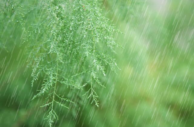 有关雨水节气的传说 雨水节气的民间故事