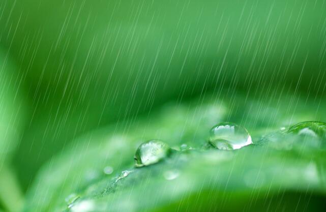 有关雨水节气的诗 描写雨水节气的古诗词集锦