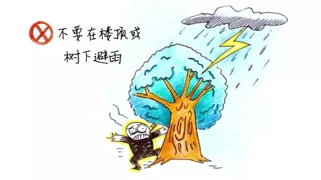 应急科普 | 气象知识系列——认识雷电!雷雨天,防御雷电!