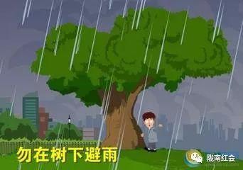 科普雷雨天气注意事项