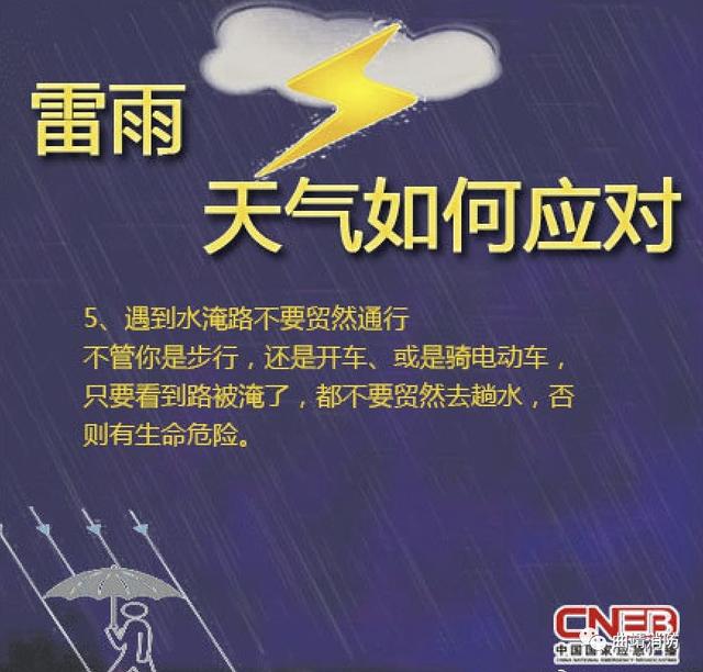 科普|雷雨天气如何应对