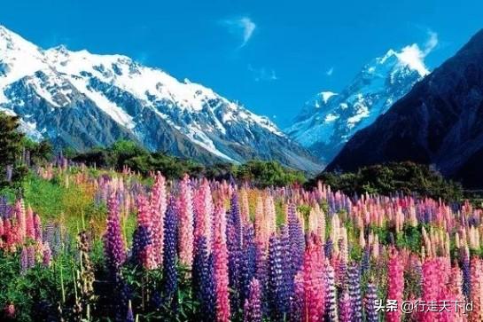 2020年适合12星座的旅游地,去了就会转运