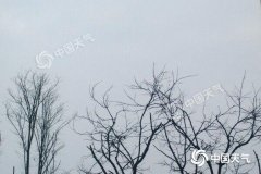 快讯！重庆市气象台发布