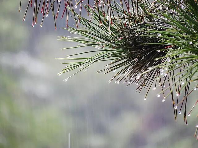 摄影技巧：阴雨天气摄影口诀