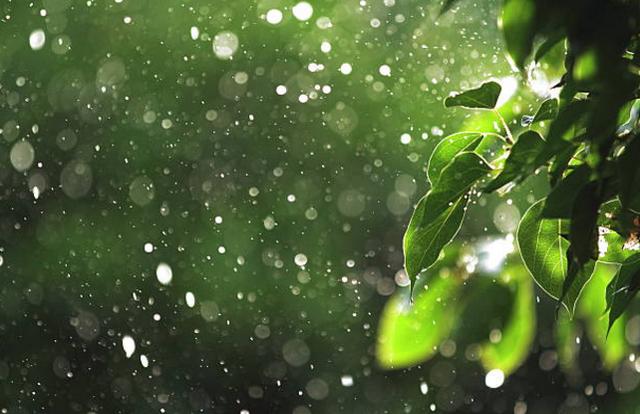 阴雨天气的拍摄技巧