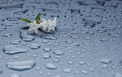 雨水节气特点介绍 关于雨