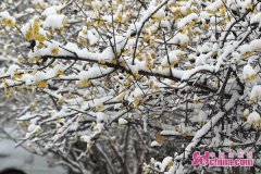 2月14日22时50分，济宁市气