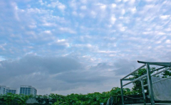 谷雨时节话养生，教你健
