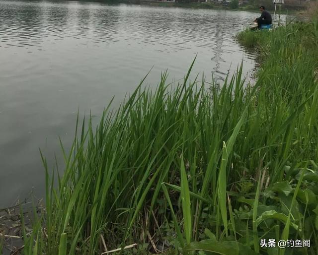 春季钓鱼晴天好还是雨天好？出钓时机选对了，鱼才会频繁咬钩