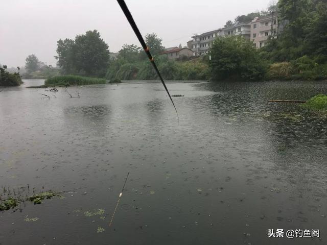 春季钓鱼晴天好还是雨天好？出钓时机选对了，鱼才会频繁咬钩