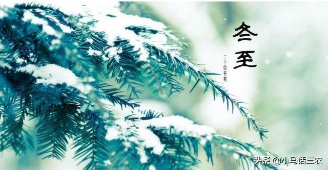 冬至将至,俗语“冬至宜雨不宜晴”,冬至为何下雨好?看完懂了