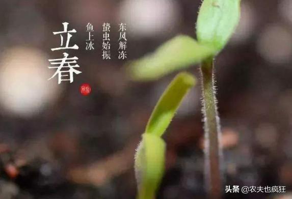 立春到了，俗语“立春下雨是反春”是啥意思？立春下雨有啥说法？