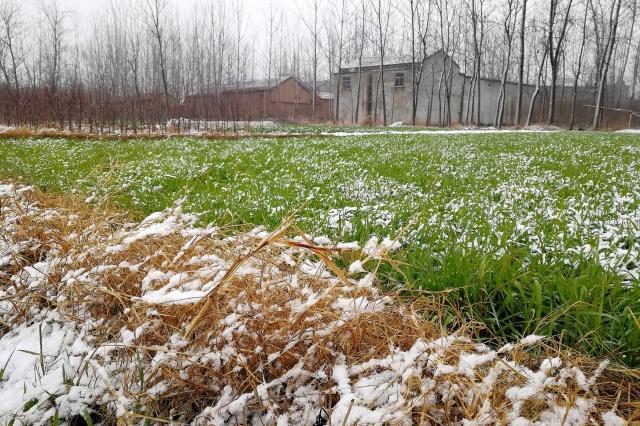 老农:小雪如若见晴天,有雨有雪到年边,小雪能预测春节天气?