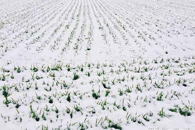 老农:小雪如若见晴天,有雨有雪到年边,小雪能预测春节天气?