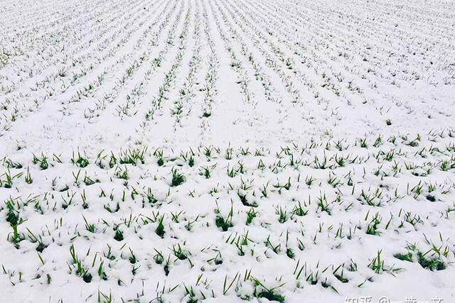 老农：小雪如若见晴天，有雨有雪到年边，小雪能预测春节天气？