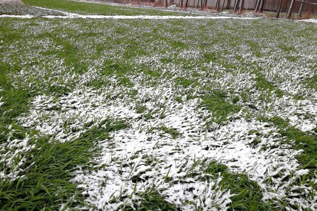 老农:小雪如若见晴天,有雨有雪到年边,小雪能预测春节天气?