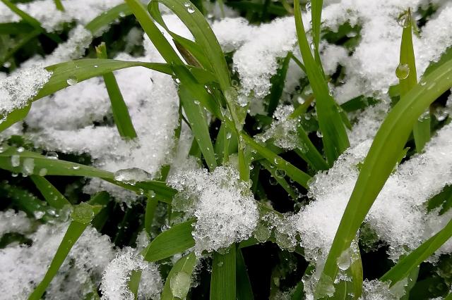 老农:小雪如若见晴天,有雨有雪到年边,小雪能预测春节天气?