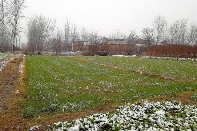 老农:小雪如若见晴天,有雨有雪到年边,小雪能预测春节天气?