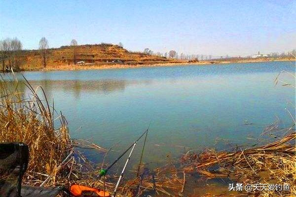 冬季钓鱼先看“天”,晴天未必好钓,最好钓的天气大多没想到