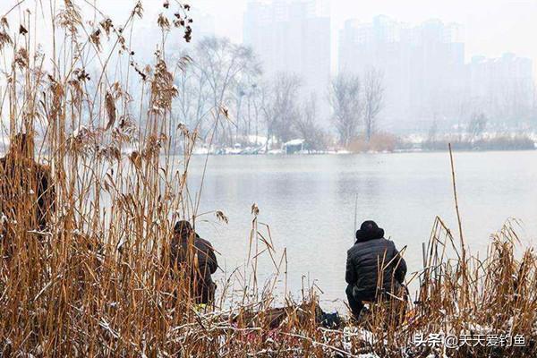 冬季钓鱼先看天气,为啥晴天没有口?阴天上鱼多呢?