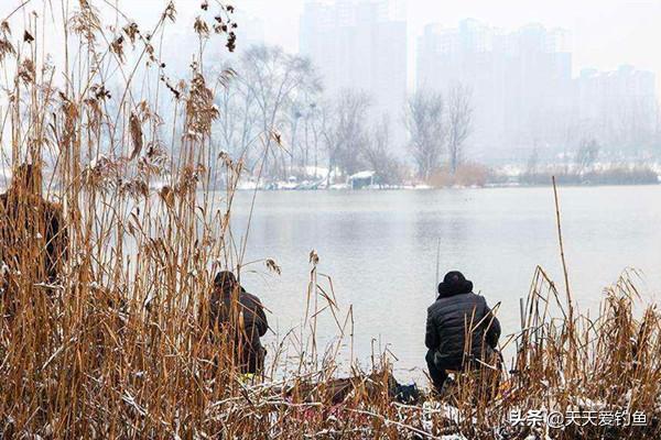 冬季钓鱼先看天气，为啥晴天没有口？阴天上鱼多呢？