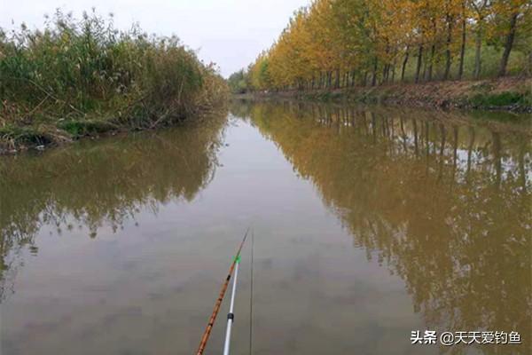 冬季钓鱼先看天气，为啥晴天没有口？阴天上鱼多呢？