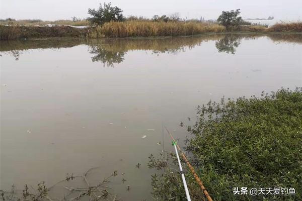 冬季钓鱼先看天气,为啥晴天没有口?阴天上鱼多呢?