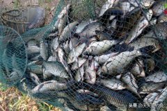 冬季钓鱼先看天气，为啥
