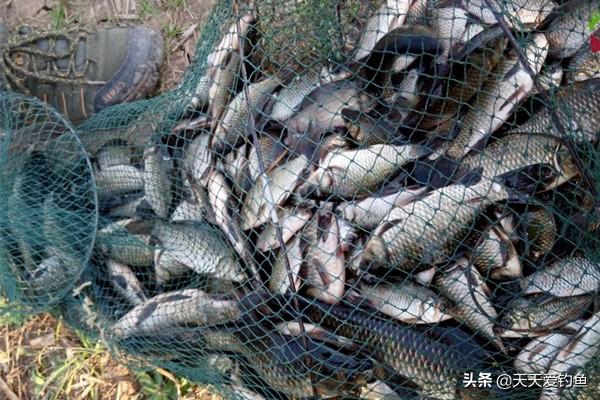 冬季钓鱼先看天气,为啥晴天没有口?阴天上鱼多呢?