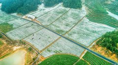 大风和雨（雪）天气过程