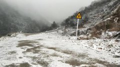 许多地方都落下了今年的
