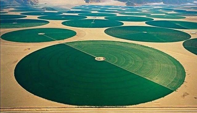 我国最大沙漠下藏有海量地下水,专家确认,储量堪比3000青海湖
