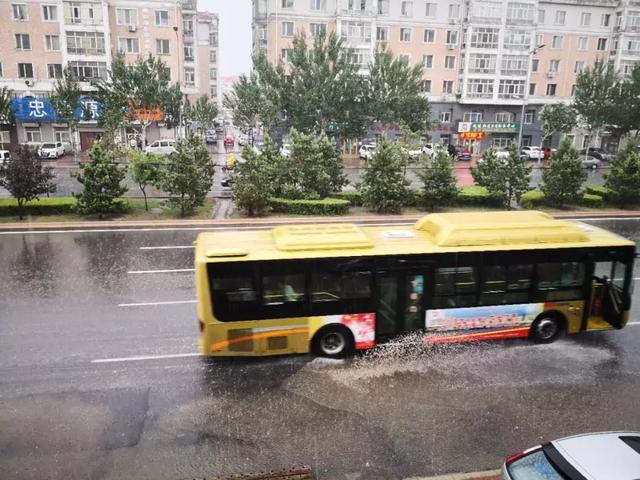 「天气速递」南岗区暴雨+冰雹!你那里下雨了吗?
