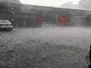 「天气速递」南岗区暴雨+冰雹!你那里下雨了吗?