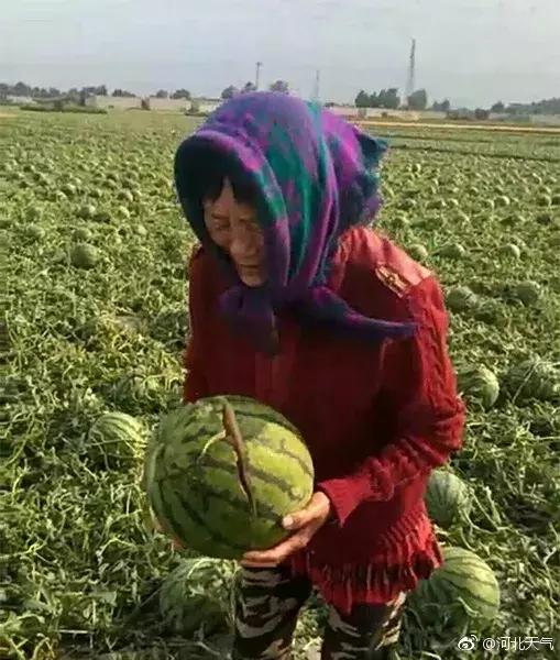 冰雹袭击河北多地 漫天“鸡蛋”砸车！