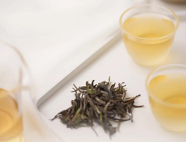 一年茶、三年药、七年宝:白茶的奇妙之处在哪里?