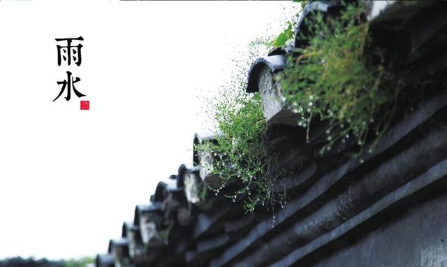 二十四节气精解读：今日雨水，春雨贵如油，雨水是因为下雨多吗？