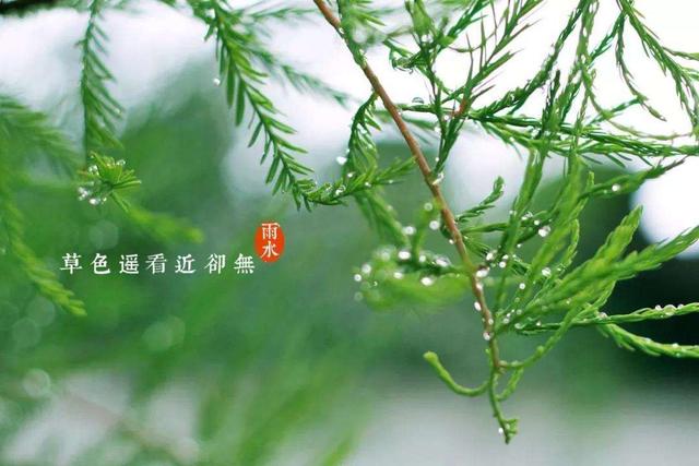 二十四节气精解读：今日雨水，春雨贵如油，雨水是因为下雨多吗？