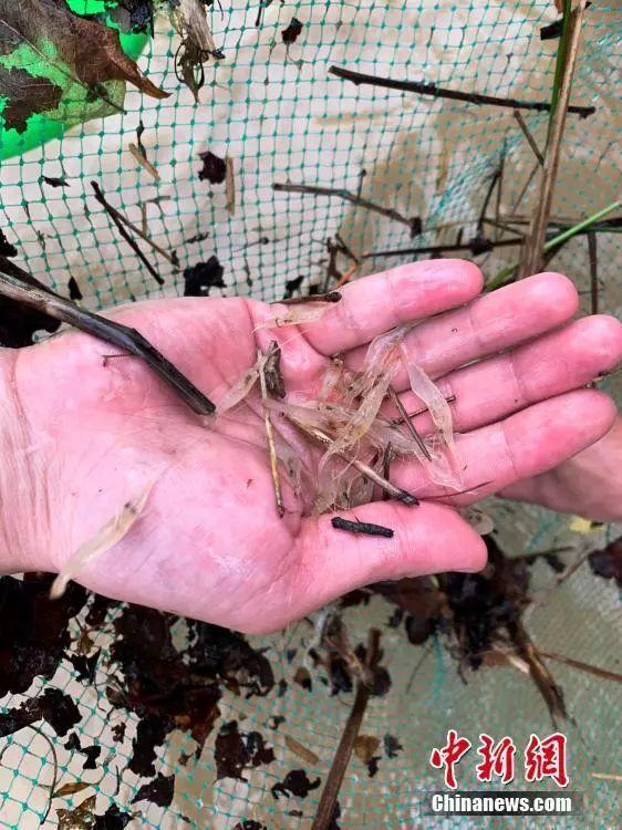 关于雨水的这些趣味冷知识,你知道吗?