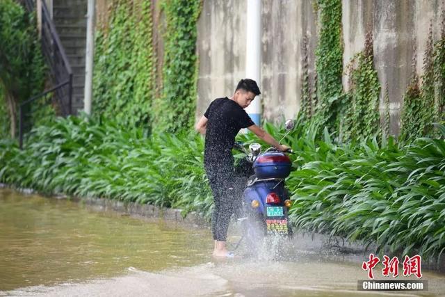 关于雨水的这些趣味冷知识，你知道吗？