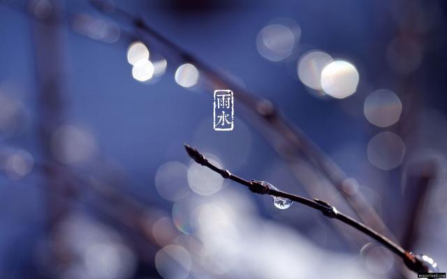 二十四节气|雨水至,农谚“暖雨水,冷惊蛰,暖春分”,啥意思?