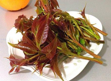 二十四节气|雨水至,农谚“暖雨水,冷惊蛰,暖春分”,啥意思?